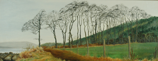 Trees near Lochside